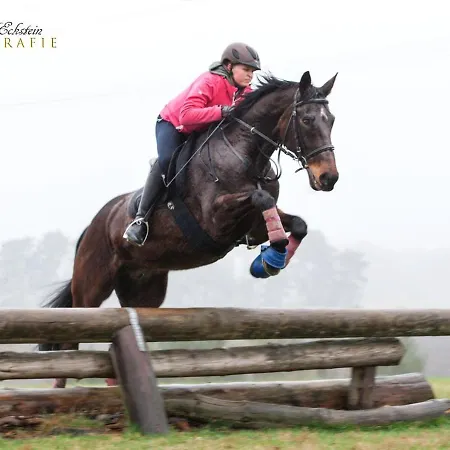 Landliebe Апартаменты